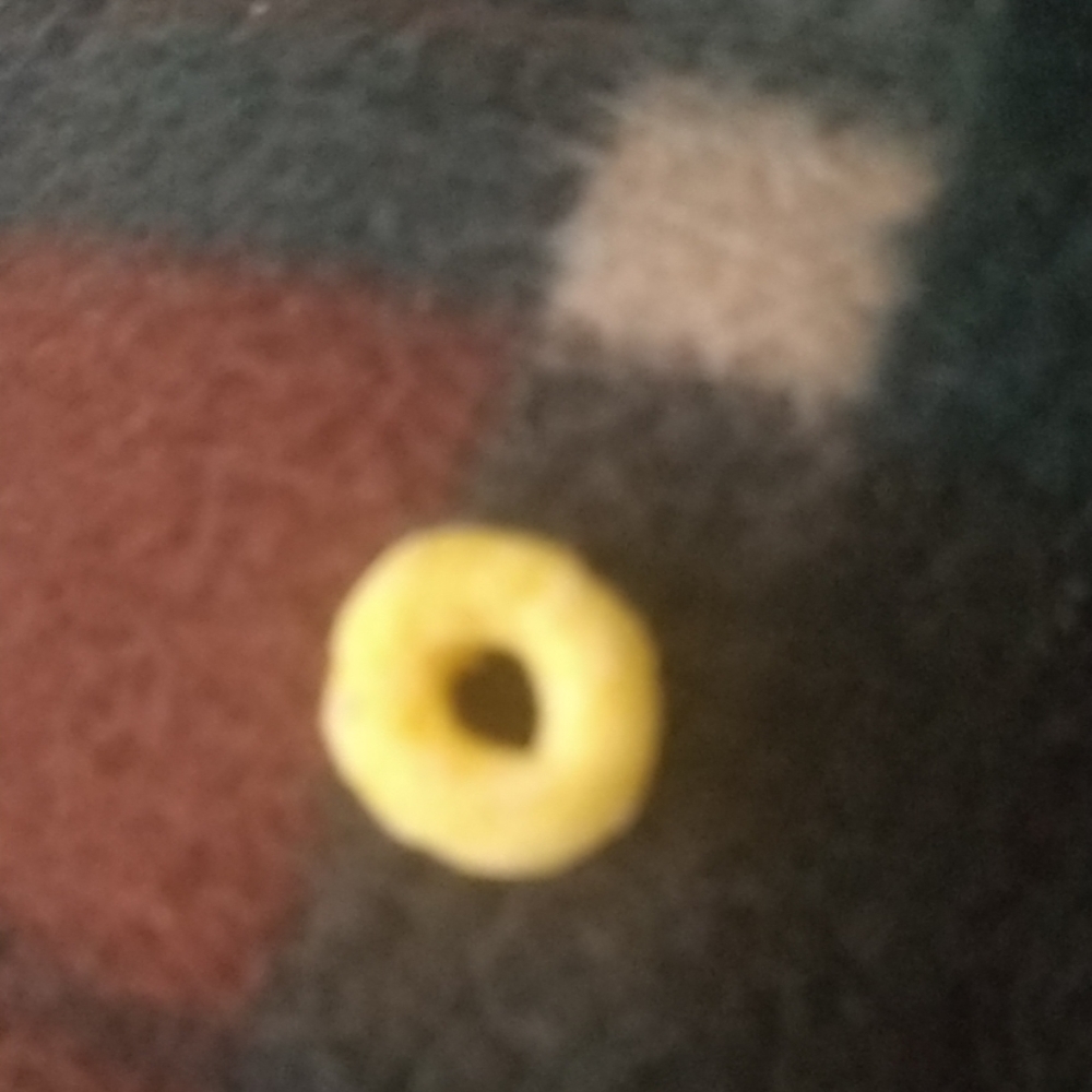 My girls untouched froot loop